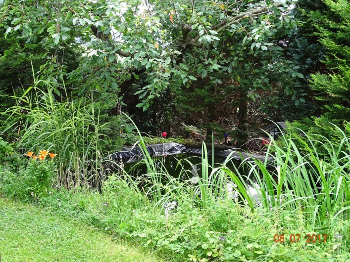 Location de vacances - Gîte à Allendorf - Petit etan dans le jardin
