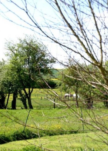 Location de vacances - Chambre d'hôtes à Levoncourt