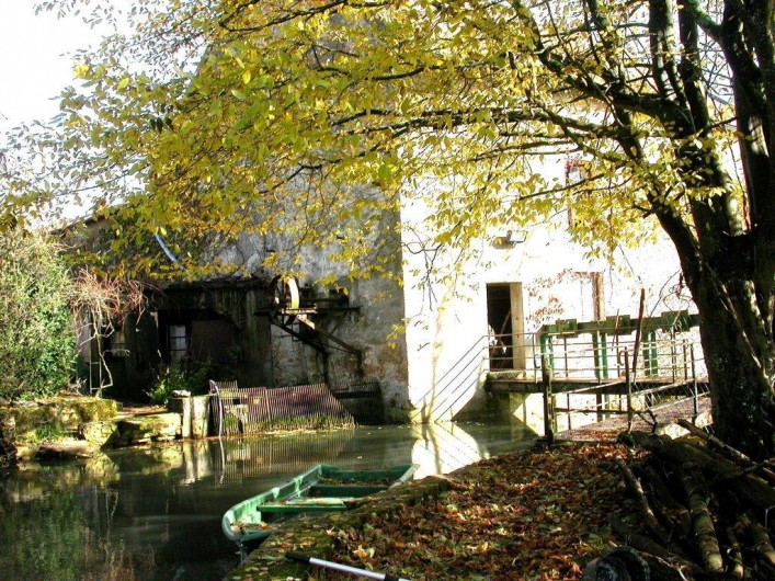 Location de vacances - Gîte à Renève