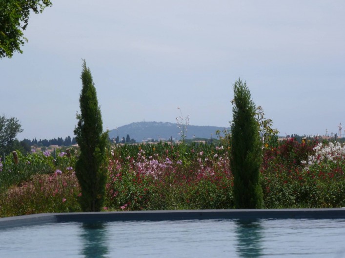 Location de vacances - Gîte à Mèze - Vue sur Mont St clair Sète