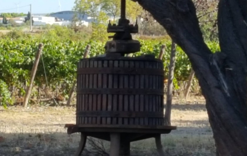 Location de vacances - Gîte à Mèze