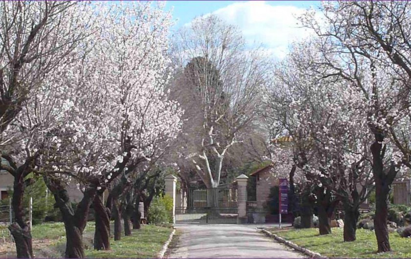 Location de vacances - Gîte à Mèze