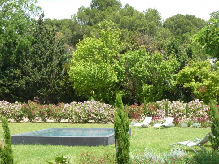 Location de vacances - Gîte à Mèze - Plunge spool - jardin Méditéraneen