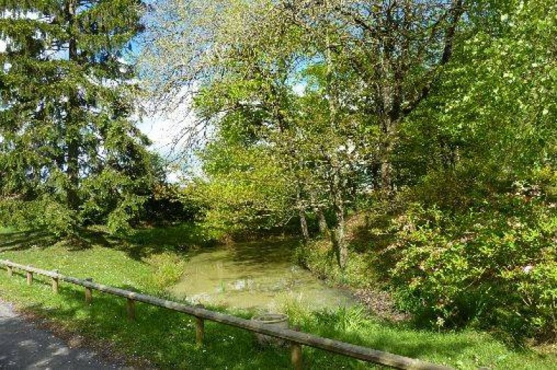 Location de vacances - Gîte à Savigny-sur-Braye