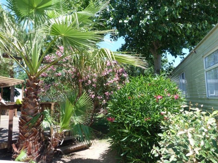 Location de vacances - Bungalow - Mobilhome à Vias - l'entrée sur l'emplacement