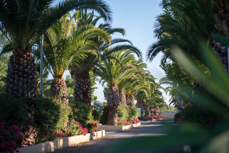 Location de vacances - Bungalow - Mobilhome à Vias