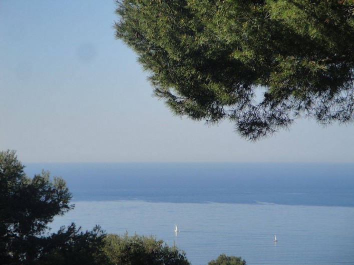 Location de vacances - Villa à Carqueiranne