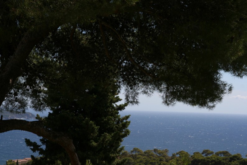 Location de vacances - Villa à Carqueiranne