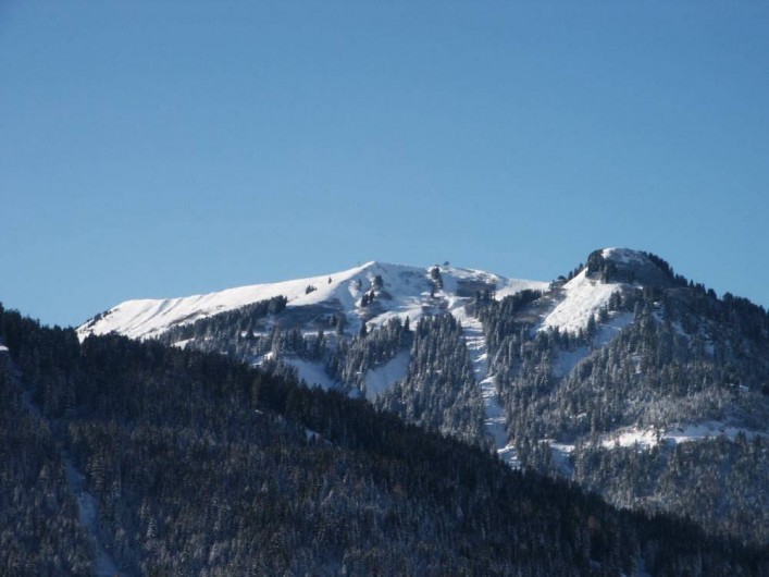 Location de vacances - Chalet à Ormont-Dessus