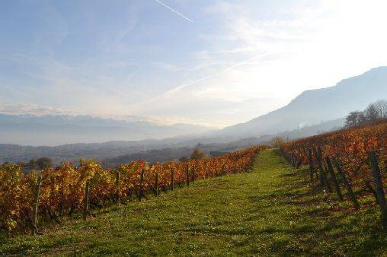 Location de vacances - Gîte à Apremont