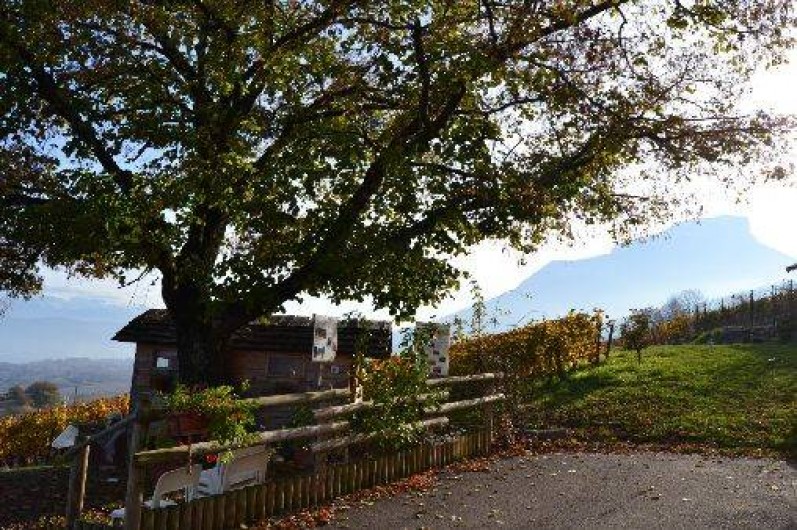 Location de vacances - Gîte à Apremont