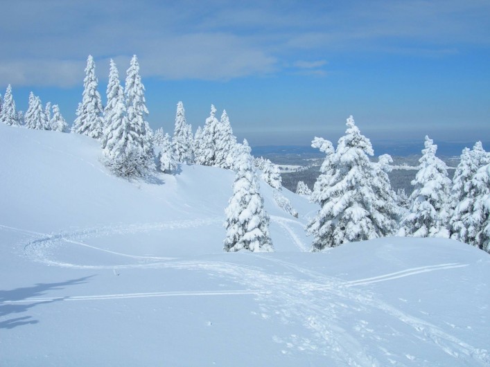 Location de vacances - Gîte à Lajoux