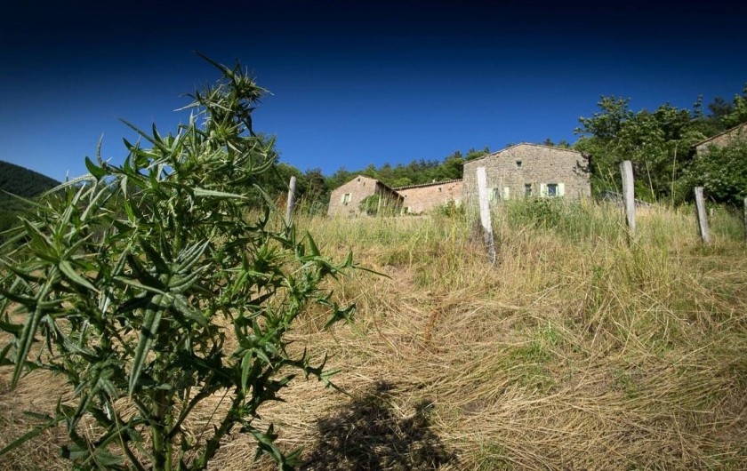 La maison vue du champ Domaine de Plantât