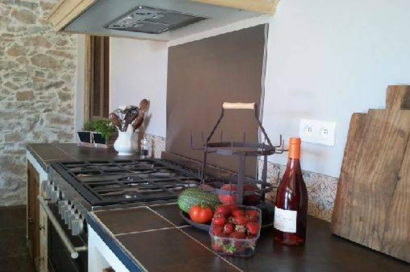 Location de vacances - Gîte à Castelnau-d'Aude