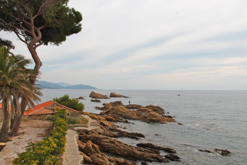 Location de vacances - Appartement à Le Lavandou