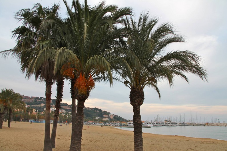 Location de vacances - Appartement à Le Lavandou