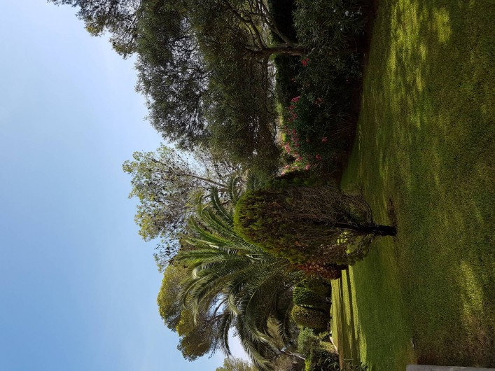 Location de vacances - Studio à Saint-Raphaël - Résidence vue du salon de jardin
