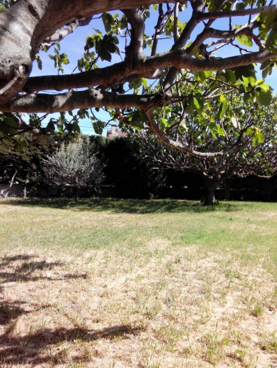 Location de vacances - Villa à Aubagne - jardin à Aubagne
