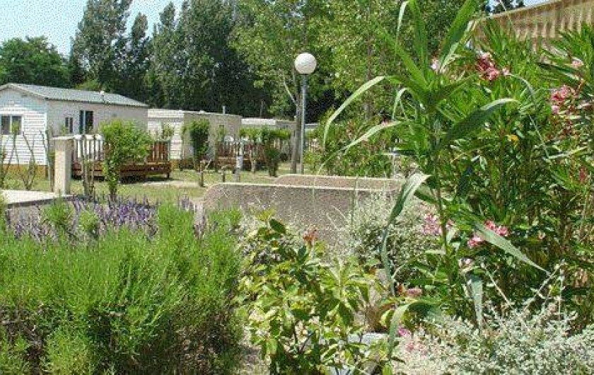 Location de vacances - Camping à Montolieu