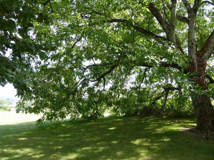 Location de vacances - Gîte à Monflanquin