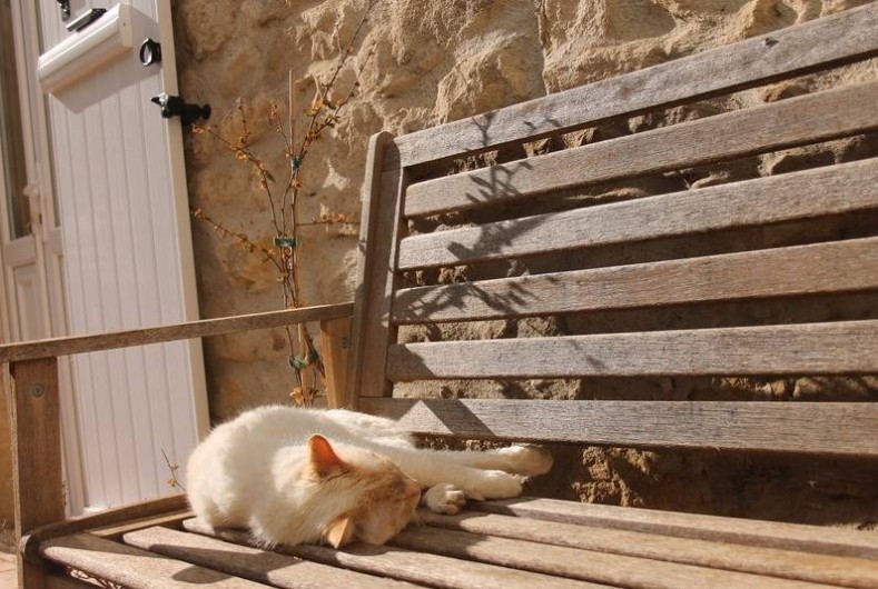 Location de vacances - Camping à Barjac