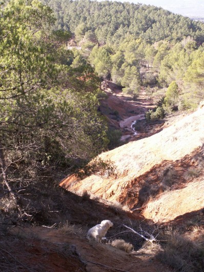 Location de vacances - Gîte à Gargas - A moins de 600 m des gîtes