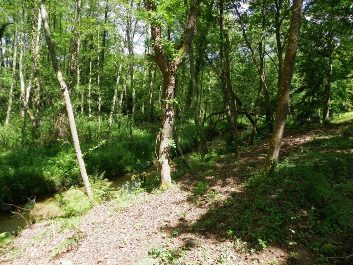 Location de vacances - Gîte à Magescq - ...et en bas coule  le ruisseau...