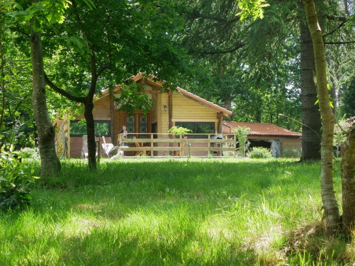 Location de vacances - Gîte à Magescq - vue depuis la forêt