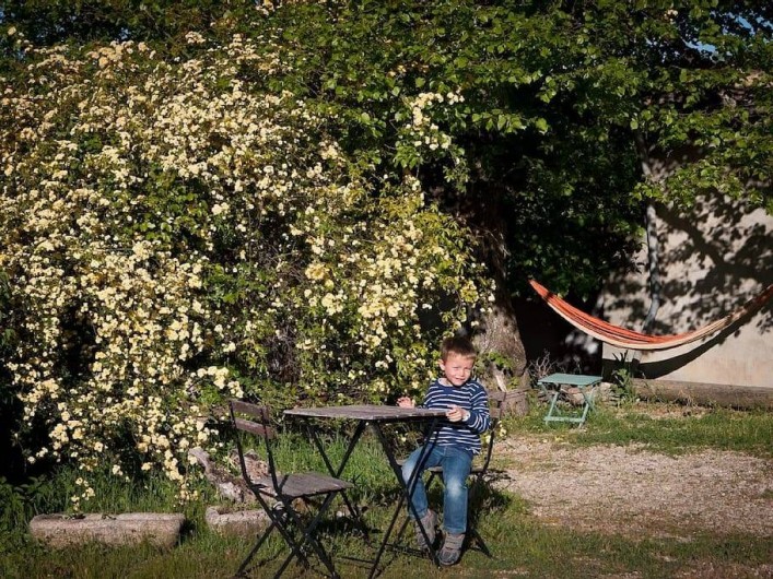 Location de vacances - Gîte à Mollans-sur-Ouvèze - Au printemps on profite des rosiers