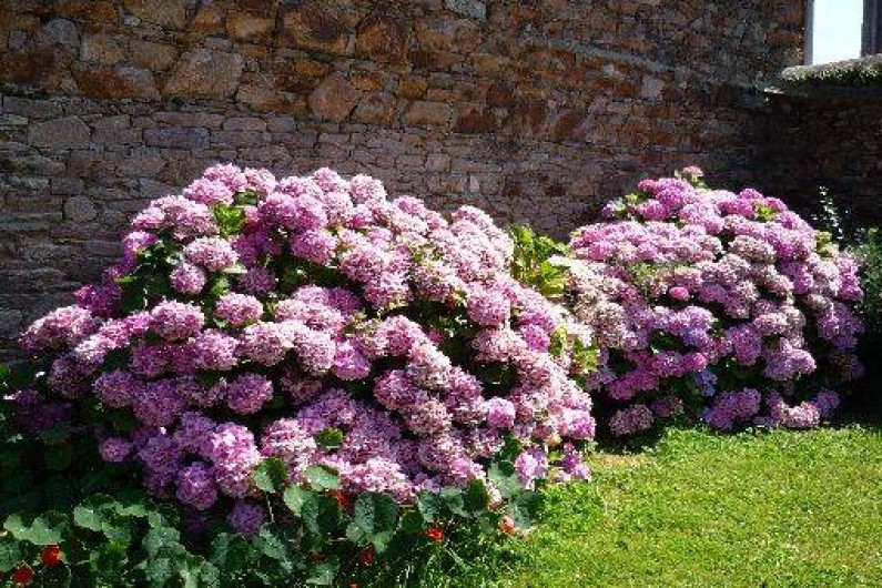 Location de vacances - Gîte à Ploubazlanec