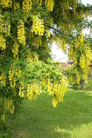 Location de vacances - Gîte à Ploubazlanec