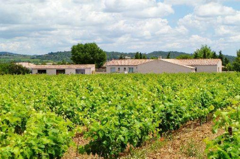 Location de vacances - Gîte à Trausse - maison en bordure des vignes