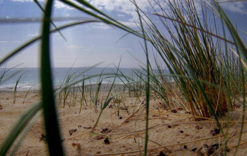 Location de vacances - Villa à Plouhinec - La plage aux alentours!!!