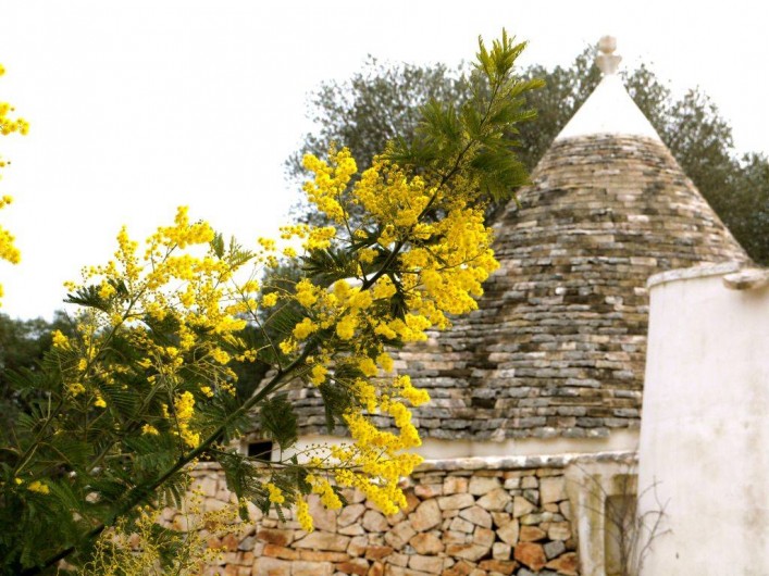 Location de vacances - Maison - Villa à Pascarosa