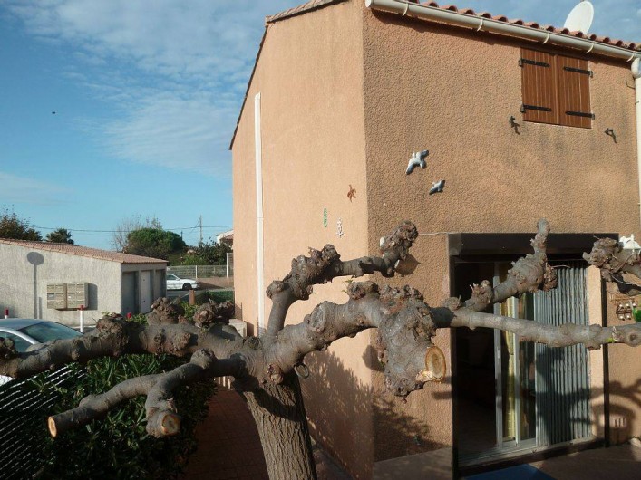 Location de vacances - Villa à Frontignan