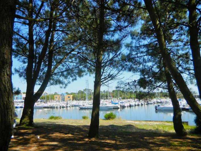 Location de vacances - Maison - Villa à Hourtin