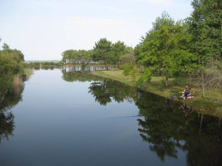 Location de vacances - Maison - Villa à Hourtin