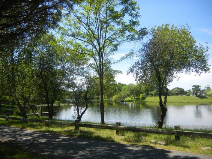 Location de vacances - Maison - Villa à Hourtin