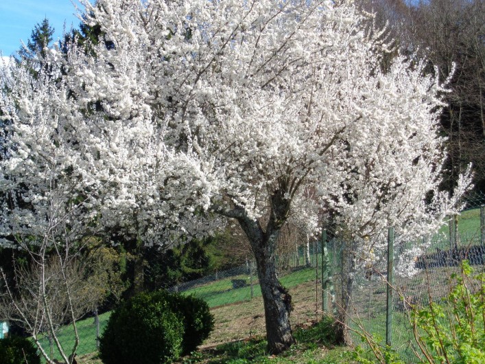 Location de vacances - Maison - Villa à Cours