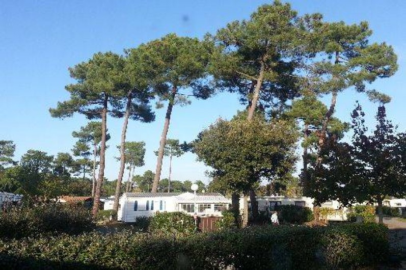 Location de vacances - Camping à Ronce les Bains - Vue du Salon