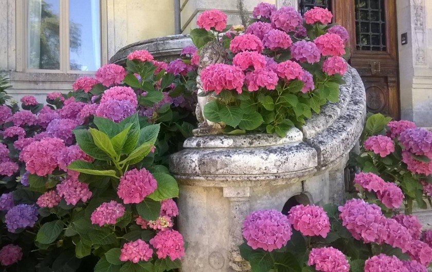 Location de vacances - Chambre d'hôtes à Barsac
