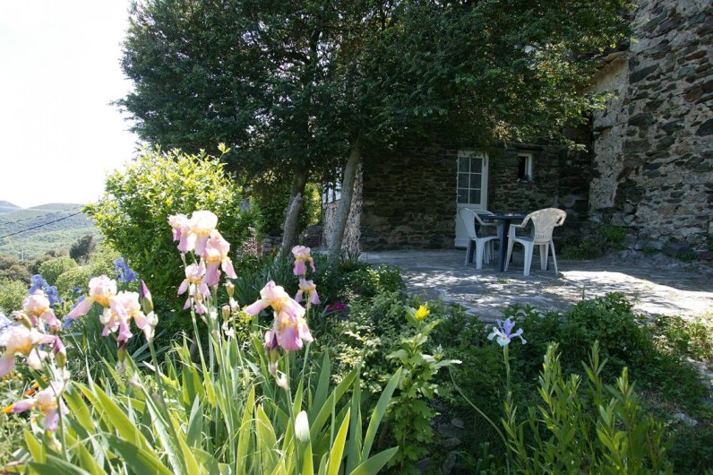 Location de vacances - Gîte à Cros
