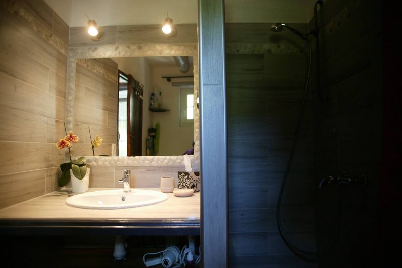 Location de vacances - Gîte à Cros