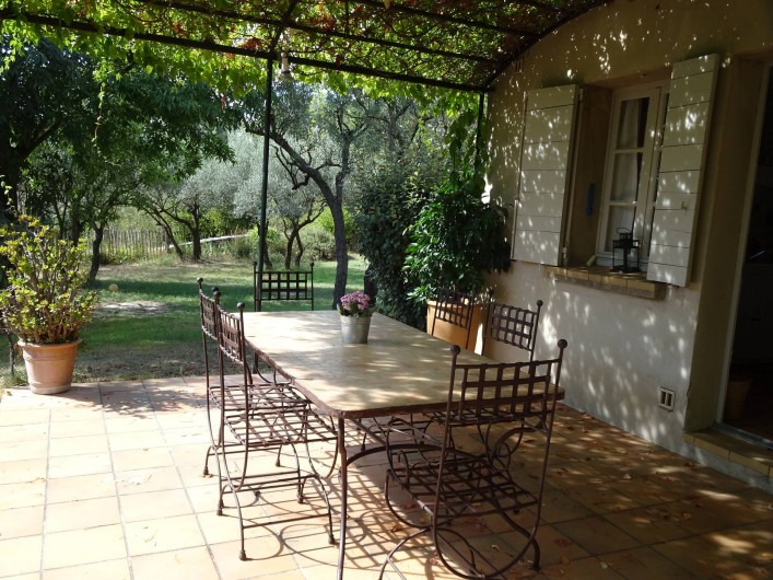 Location de vacances - Mas à Uzès - Terrasse extérieure exposée au Sud et ombragée avec une  magnifique vigne