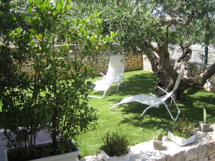 Location de vacances - Maison - Villa à Alberobello - Jardin avec son olivier séculaire