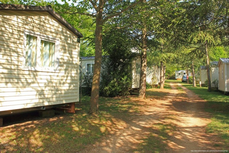 Location de vacances - Camping à Castelbouc - Allée des mobil home