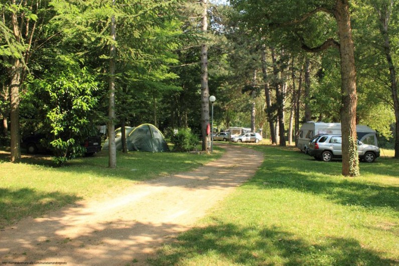 Location de vacances - Camping à Castelbouc - Une des allées du camping