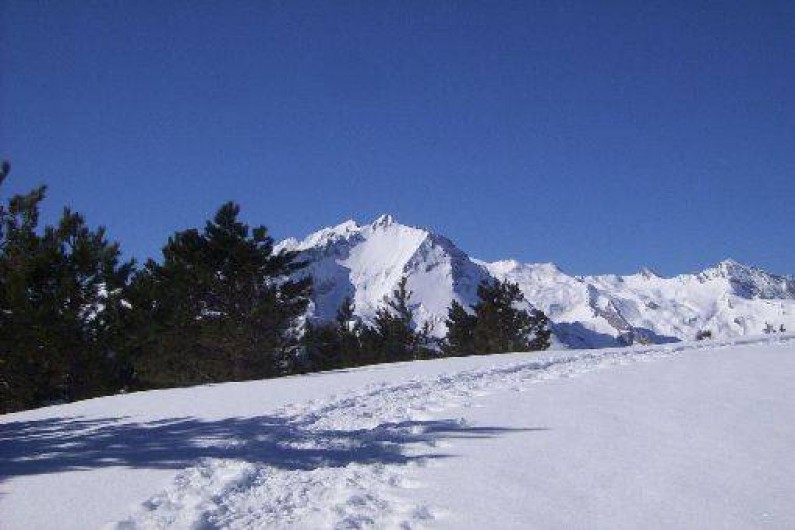 Location de vacances - Gîte à Arrens-Marsous
