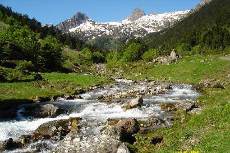Location de vacances - Gîte à Arrens-Marsous