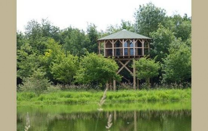 Location de vacances - Cabane dans les arbres à Sainte-Pazanne - Le nid
